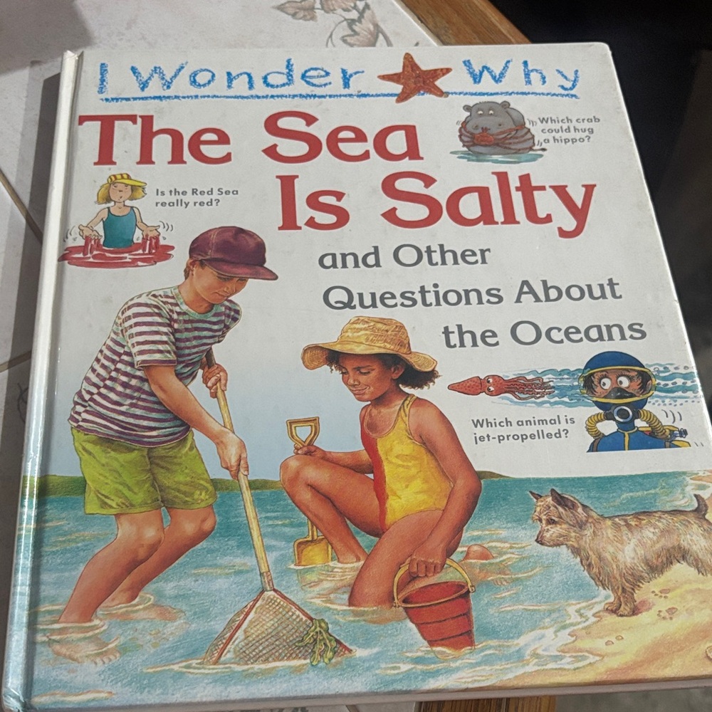 I Wonder Why: The Sea Is Salty - Illustrated Ocean Question Book